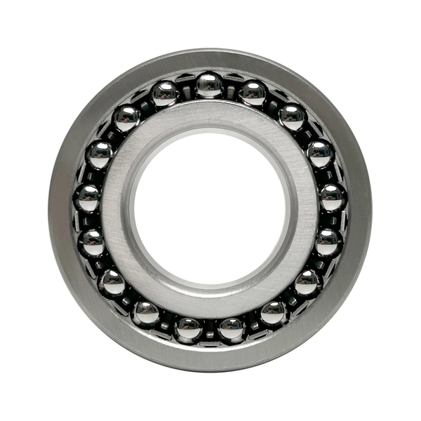 Ein Pendelkugellager in einer Draufsicht, das zwei Reihen von glänzenden Kugeln zwischen einem inneren und äußeren Metallring zeigt.