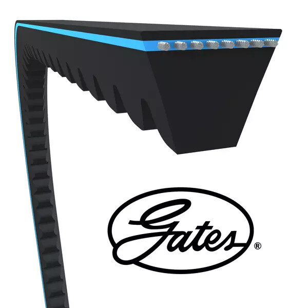 Gezahnter Keilriemen mit blauer Zugschicht, begleitet von einem ovalen Logo mit dem Wort „Gates“.
