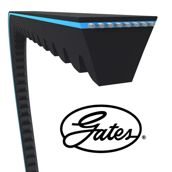 Gezahnter Keilriemen mit blauer Zugschicht, begleitet von einem ovalen Logo mit dem Wort „Gates“.