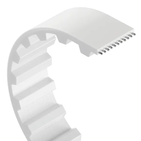 Weißer Zahnriemen mit sichtbarem Zahnprofil und eingelegten Zugsträngen, dargestellt in gebogener Form.