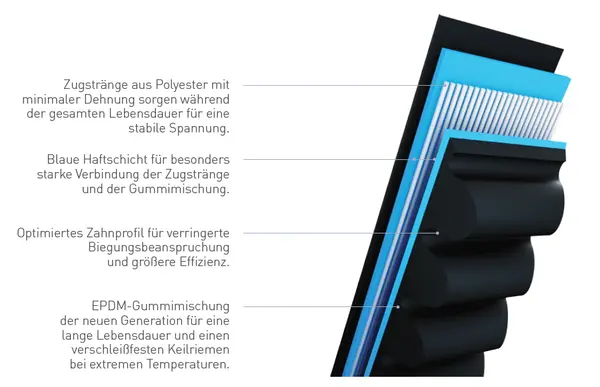 Querschnitt eines Keilriemens mit Beschriftungen, die die Zugstränge aus Polyester, die blaue Haftschicht, das optimierte Zahnprofil und die EPDM-Gummimischung hervorheben.